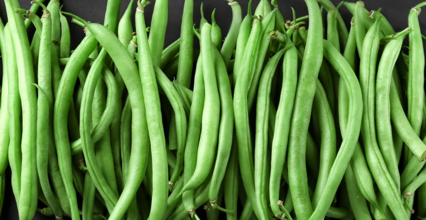 Fazuľa - zelenina pekná na pohľad, nenáročná i užitočná