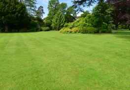 Záhrada sa prebúdza do novej sezóny 