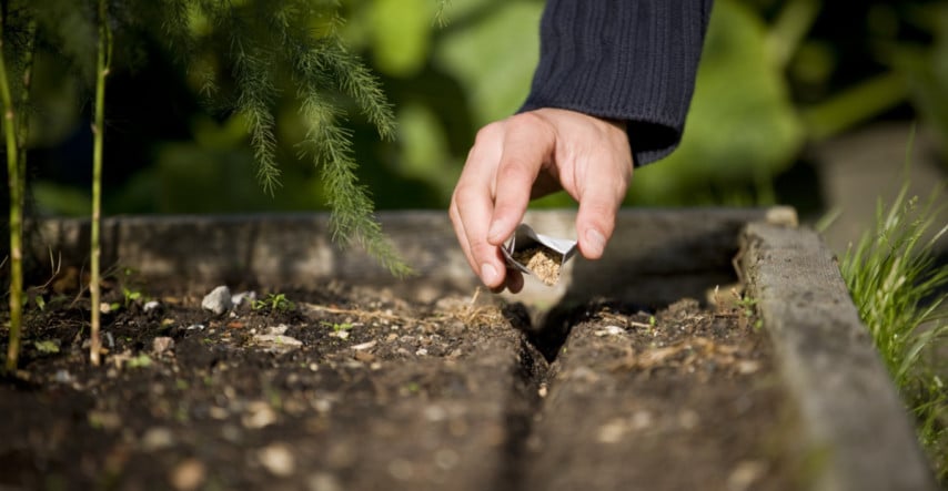 Chcete pestovať v bio kvalite? Saďte zmiešané kultúry