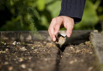 Chcete pestovať v bio kvalite? Saďte zmiešané kultúry