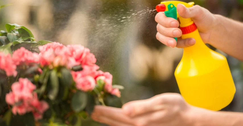 Vošky všade, kam sa pozrieš