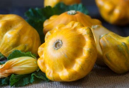 Ako správne pestovať patizóny? 