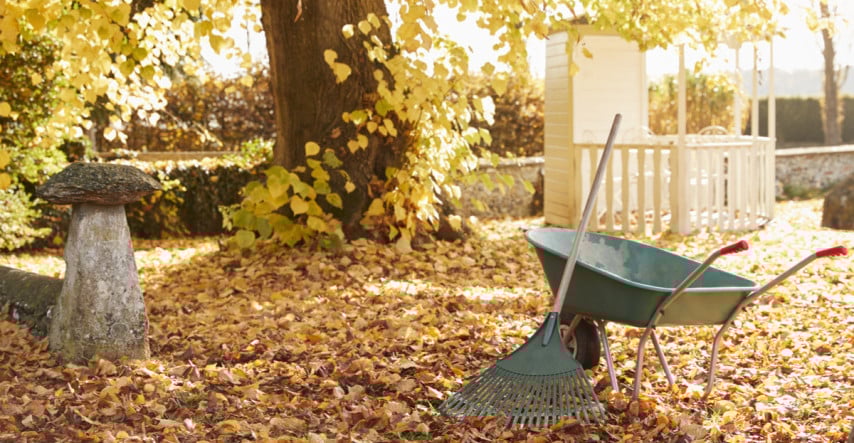 Záhradníci majú v novembri stále veľa práce