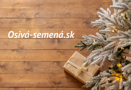 Vianoce sú za dverami. Viete už, čím obdarujete blízkych?