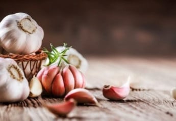 Paličák, alebo nepaličák, aký budete tento rok sadiť Vy?